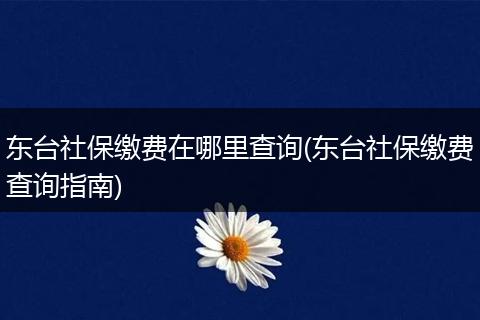 东台社保缴费在哪里查询(东台社保缴费查询指南)
