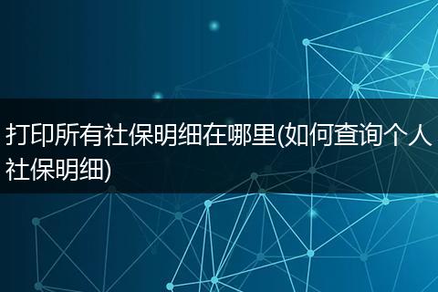 打印所有社保明细在哪里(如何查询个人社保明细)