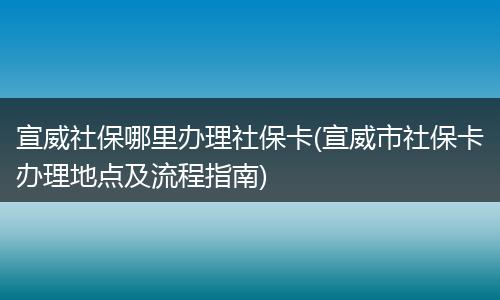 宣威社保哪里办理社保卡(宣威市社保卡办理地点及流程指南)