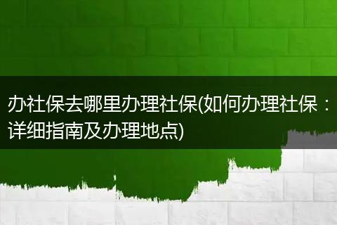 办社保去哪里办理社保(如何办理社保：详细指南及办理地点)