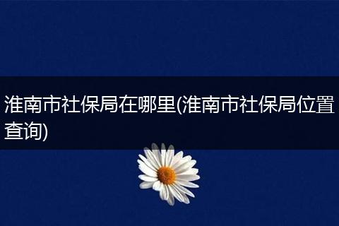 淮南市社保局在哪里(淮南市社保局位置查询)