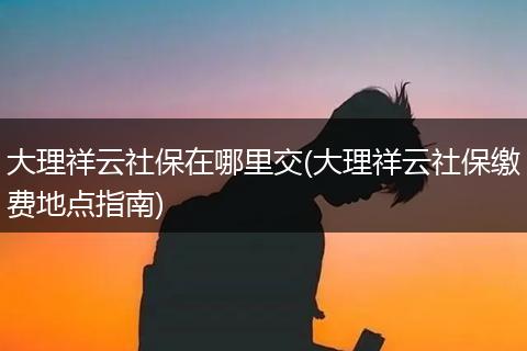 大理祥云社保在哪里交(大理祥云社保缴费地点指南)