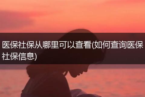 医保社保从哪里可以查看(如何查询医保社保信息)