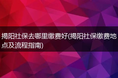 揭阳社保去哪里缴费好(揭阳社保缴费地点及流程指南)