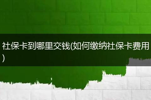 社保卡到哪里交钱(如何缴纳社保卡费用)
