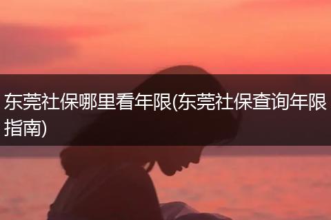 东莞社保哪里看年限(东莞社保查询年限指南)