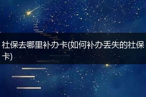 社保去哪里补办卡(如何补办丢失的社保卡)