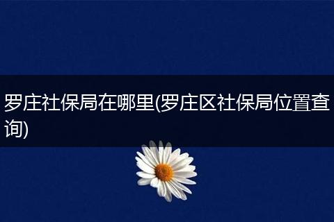 罗庄社保局在哪里(罗庄区社保局位置查询)