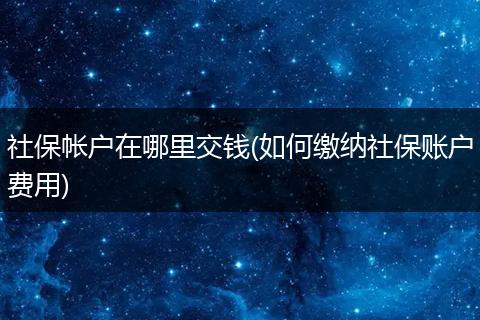 社保帐户在哪里交钱(如何缴纳社保账户费用)