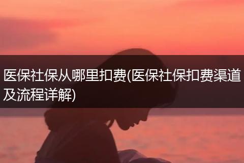 医保社保从哪里扣费(医保社保扣费渠道及流程详解)
