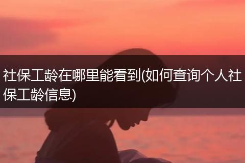 社保工龄在哪里能看到(如何查询个人社保工龄信息)
