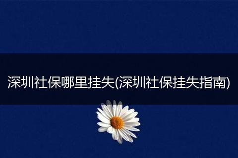 深圳社保哪里挂失(深圳社保挂失指南)
