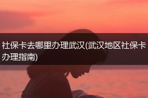社保卡去哪里办理武汉(武汉地区社保卡办理指南)