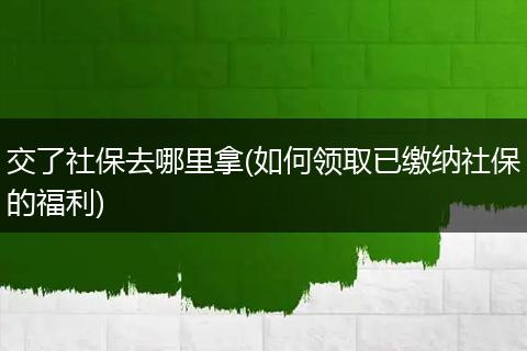 交了社保去哪里拿(如何领取已缴纳社保的福利)