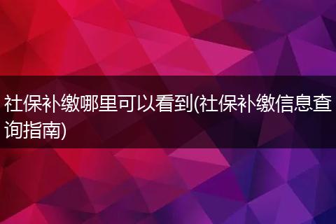 社保补缴哪里可以看到(社保补缴信息查询指南)