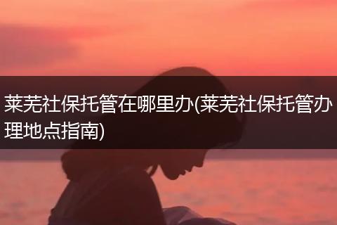 莱芜社保托管在哪里办(莱芜社保托管办理地点指南)