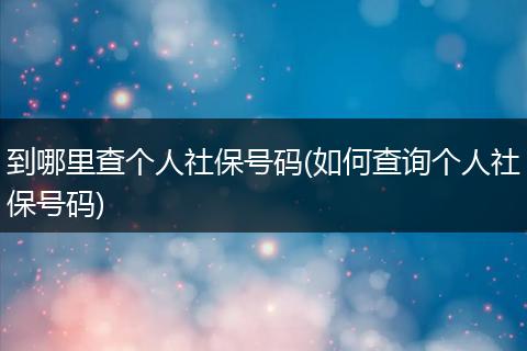 到哪里查个人社保号码(如何查询个人社保号码)