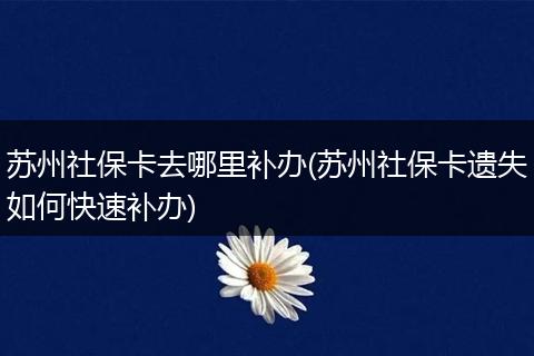 苏州社保卡去哪里补办(苏州社保卡遗失如何快速补办)