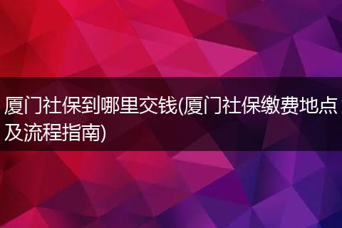 厦门社保到哪里交钱(厦门社保缴费地点及流程指南)