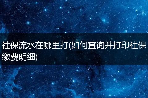 社保流水在哪里打(如何查询并打印社保缴费明细)
