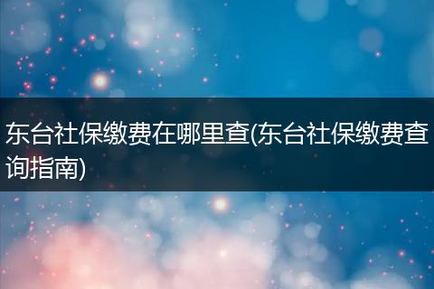 东台社保缴费在哪里查(东台社保缴费查询指南)
