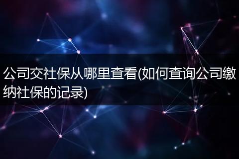 公司交社保从哪里查看(如何查询公司缴纳社保的记录)