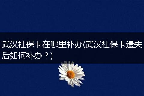 武汉社保卡在哪里补办(武汉社保卡遗失后如何补办？)