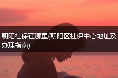 朝阳社保在哪里(朝阳区社保中心地址及办理指南)