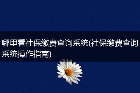 哪里看社保缴费查询系统(社保缴费查询系统操作指南)