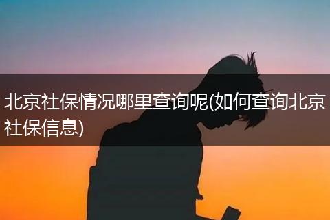 北京社保情况哪里查询呢(如何查询北京社保信息)