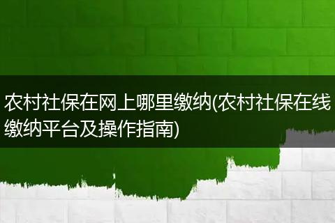 农村社保在网上哪里缴纳(农村社保在线缴纳平台及操作指南)