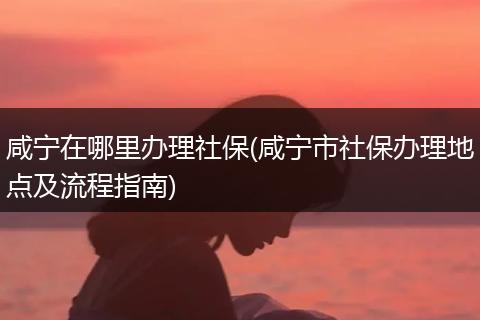 咸宁在哪里办理社保(咸宁市社保办理地点及流程指南)