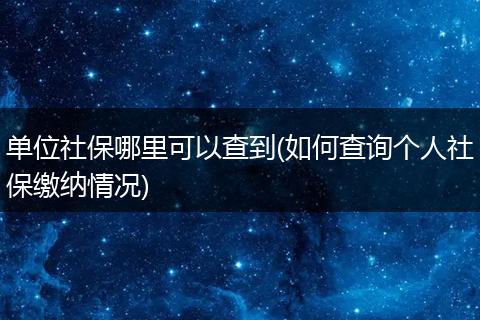 单位社保哪里可以查到(如何查询个人社保缴纳情况)