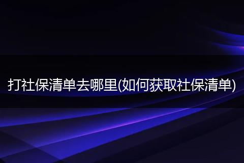 打社保清单去哪里(如何获取社保清单)