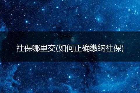 社保哪里交(如何正确缴纳社保)