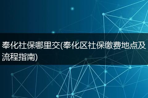 奉化社保哪里交(奉化区社保缴费地点及流程指南)