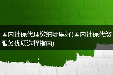 国内社保代理缴纳哪里好(国内社保代缴服务优质选择指南)