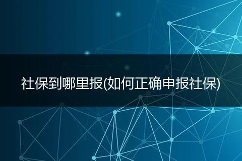 社保到哪里报(如何正确申报社保)