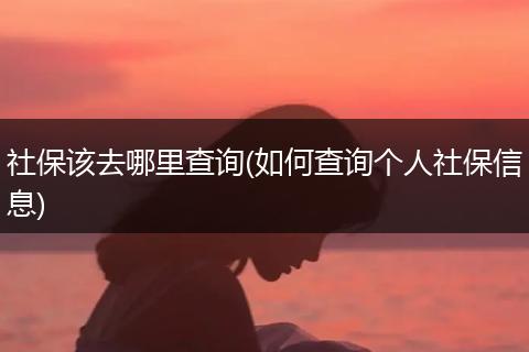 社保该去哪里查询(如何查询个人社保信息)