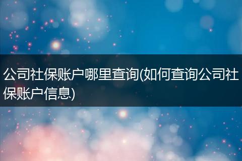 公司社保账户哪里查询(如何查询公司社保账户信息)
