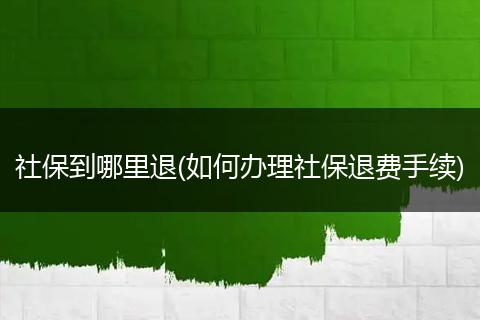 社保到哪里退(如何办理社保退费手续)