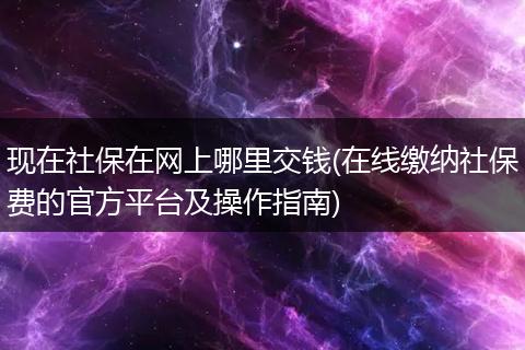 现在社保在网上哪里交钱(在线缴纳社保费的官方平台及操作指南)
