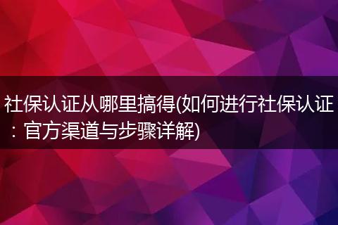 社保认证从哪里搞得(如何进行社保认证：官方渠道与步骤详解)