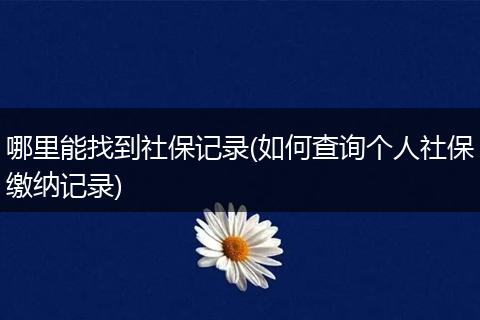 哪里能找到社保记录(如何查询个人社保缴纳记录)