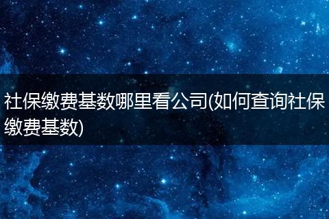 社保缴费基数哪里看公司(如何查询社保缴费基数)