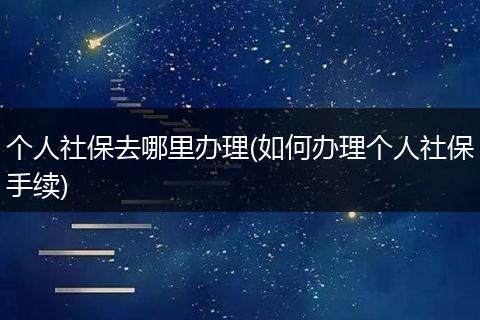 个人社保去哪里办理(如何办理个人社保手续)
