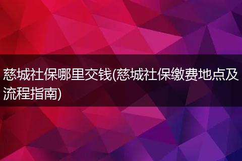 慈城社保哪里交钱(慈城社保缴费地点及流程指南)