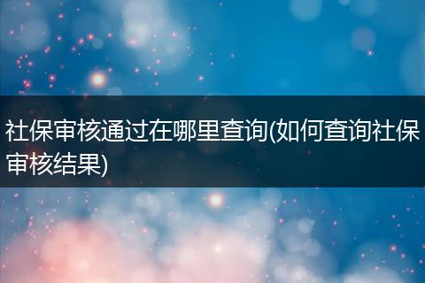 社保审核通过在哪里查询(如何查询社保审核结果)