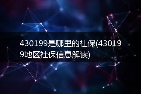 430199是哪里的社保(430199地区社保信息解读)