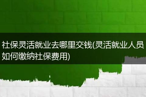 社保灵活就业去哪里交钱(灵活就业人员如何缴纳社保费用)
